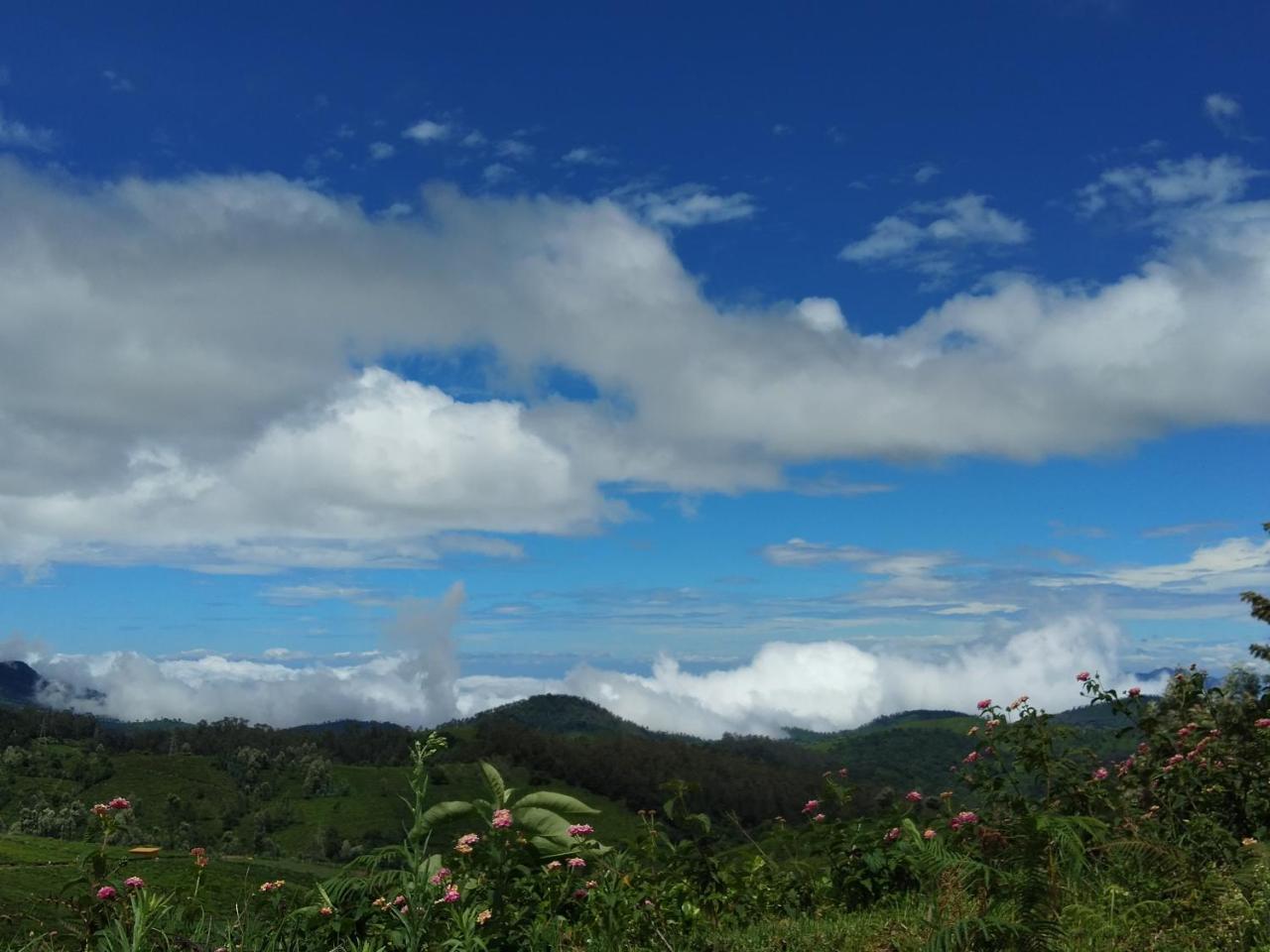 Drizzle Drop Inn Ooty Eksteriør bilde